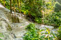Bua Thong