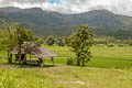 Huay Tueng Tao