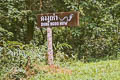 Khao Yai