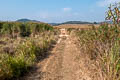 Phu Khieo