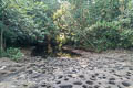 Phu Langka